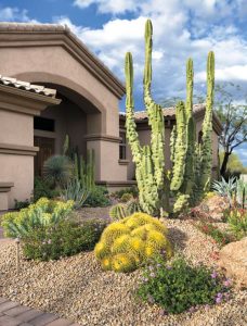 35 Inexpensive Desert Landscaping Ideas Pictures | Balcony Garden Web