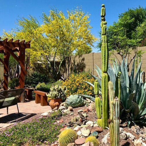 35 Inexpensive Desert Landscaping Ideas Pictures | Balcony Garden Web