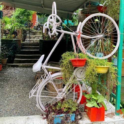 Bicycle Planter Ideas for Your Garden 4