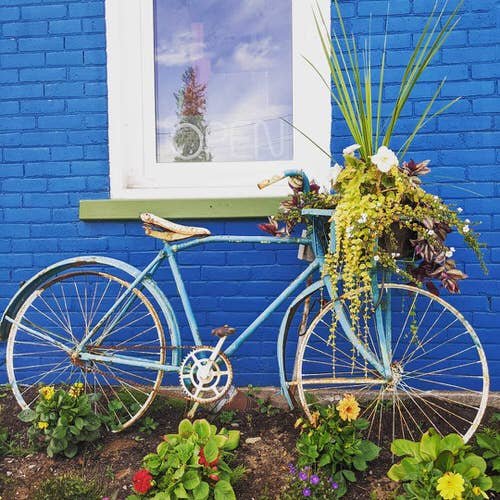 Bicycle Planter Ideas for Your Garden 3