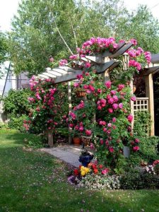 37 Pictures of Pergolas in the Gardens | Garden Pergola Ideas