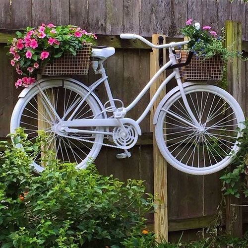 Vintage Bicycle Decor With Flower In Garden Stock Photo, Picture and  Royalty Free Image. Image 57534730.