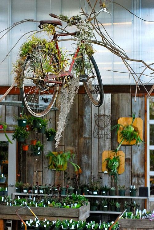 Bicycle Planter Ideas for Your Garden