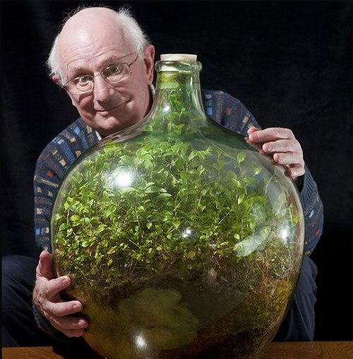 Unbelievable Sealed Bottled Gardens Ideas