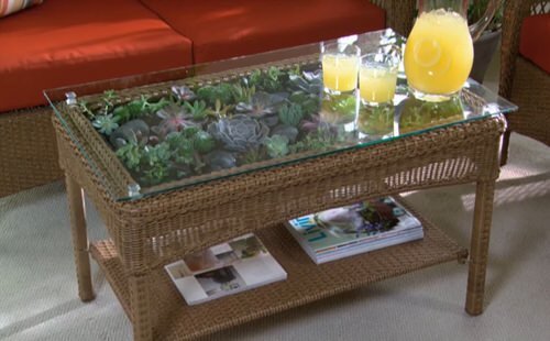 Amazing terrarium table ideas 4