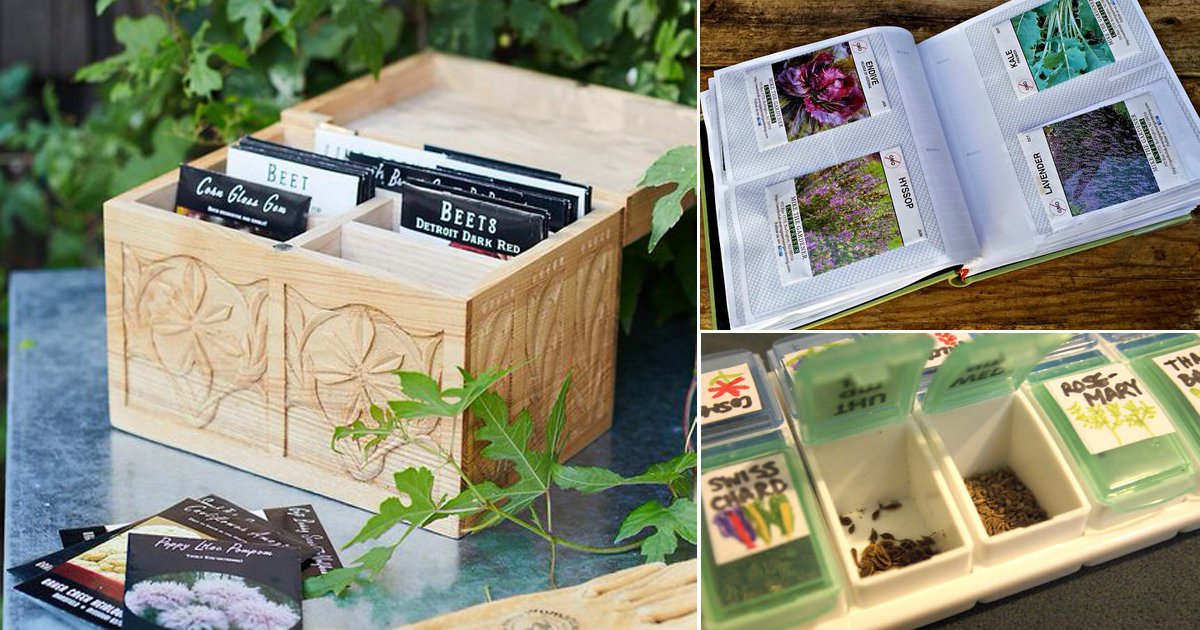 Make a Seed Box From Upcycled Shoe Boxes