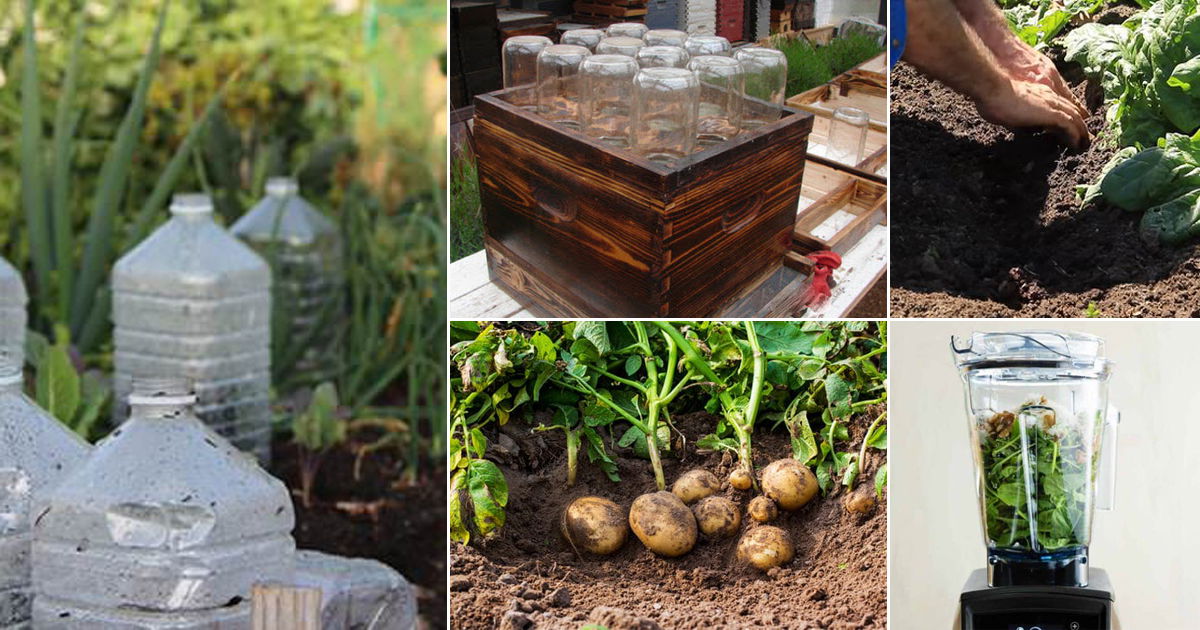 37 Powerful Gardening Hacks To Become “The Self Sufficient Gardener”