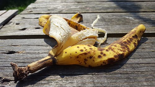 Dried Banana Peel Powder Fertilizer at Home for Any Plant