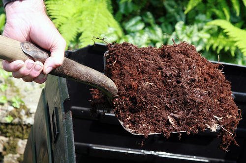 8 Reasons Why Putting Human Hair in Garden is a Good Idea