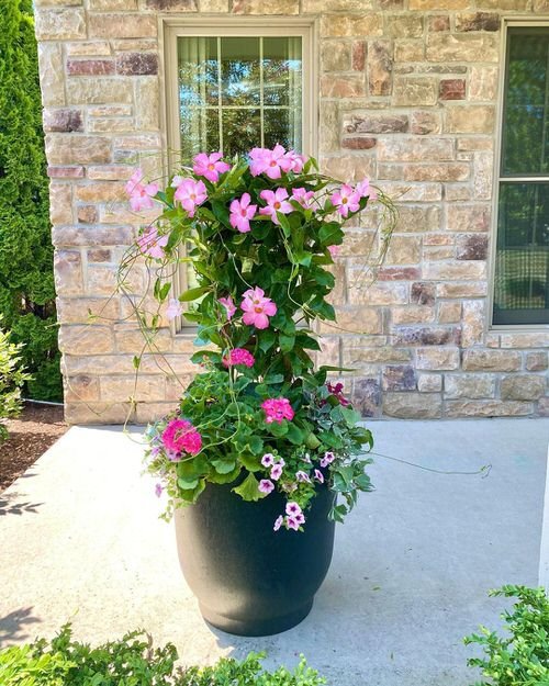 Front Porch Flower Pot Ideas 23
