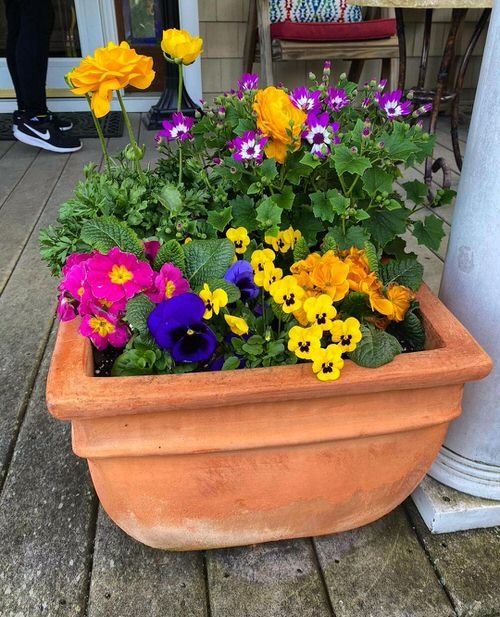 Front Porch Flower Pot Ideas 25