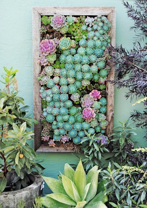 DIY Vertical Succulent Garden Ideas 4
