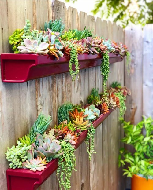 DIY Vertical Succulent Garden Ideas 2