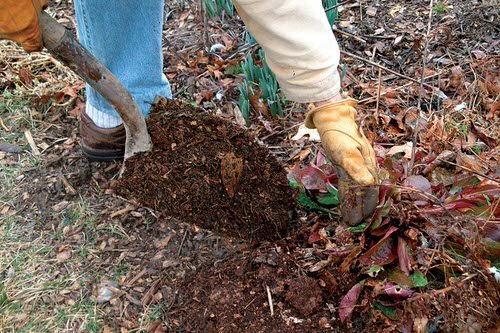 How to Make Leaf Mold from Fallen Leaves 11