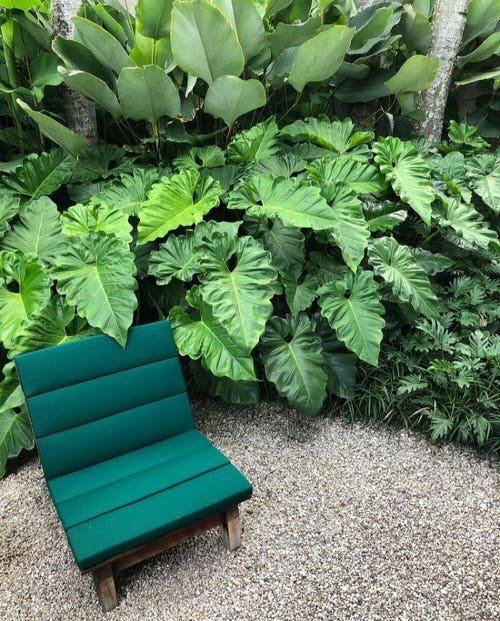 Crazy Tropical Garden Bed Ideas You'd Like to Copy 15