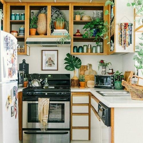 Beautiful Colorful Kitchen Ideas with Plants 10