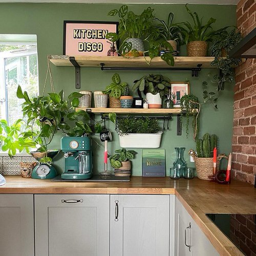 Beautiful Colorful Kitchen Ideas with Plants 1
