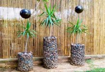 Brilliant Gabion Plant Stand Design Ideas For The Garden