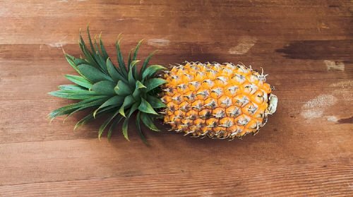 How to Grow Pineapples at Home