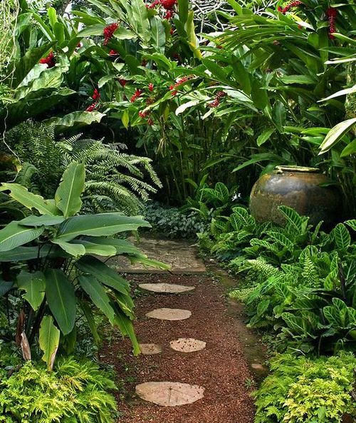 Crazy Tropical Garden Bed Ideas You'd Like to Copy 26