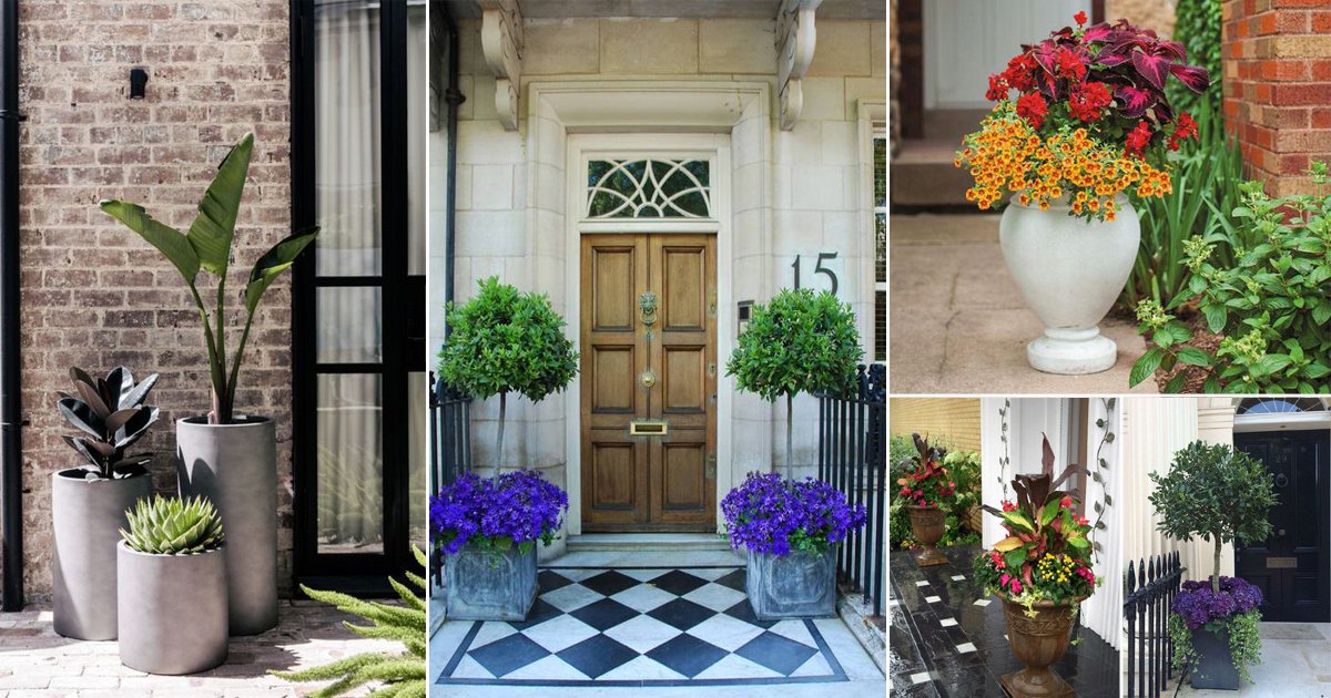 Six Tips For Creating A Dramatic Front Door Container Garden - Pottery Barn