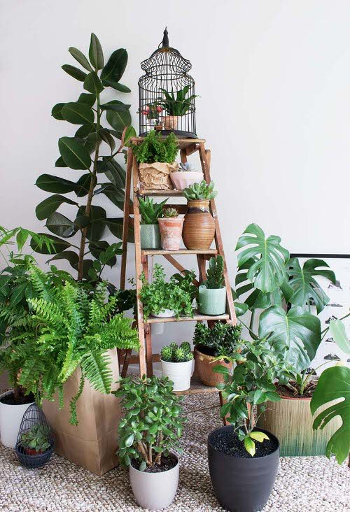 Indoor Stepladder Garden Ideas 3