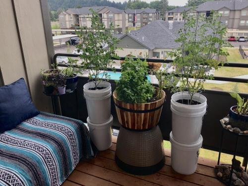 Apartment Balcony Gardens on Reddit for Perfect Inspiration 7