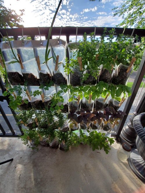 Apartment Balcony Gardens on Reddit for Perfect Inspiration 8