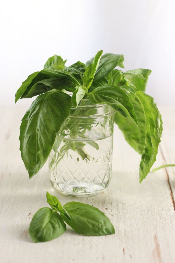 12 Herbs You Can Grow in Big Wine Glasses and Mason Jars