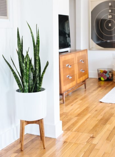 28 Delightful Ways to Decorate Awkward Home Spaces with Plants