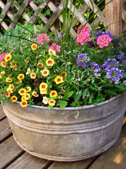 27 Incredible Combinations with Petunias | Balcony Garden Web