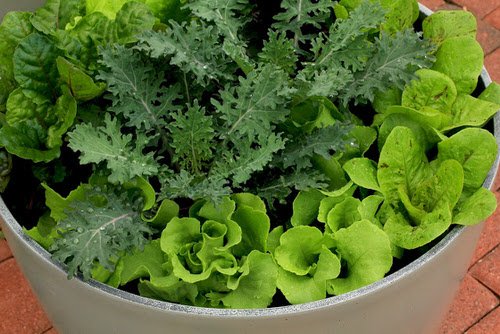 DIY Salad Bowl Ideas 6