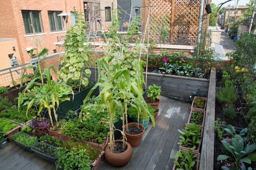70 Nicest Rooftop Garden Ideas | Best Rooftop Gardens 3