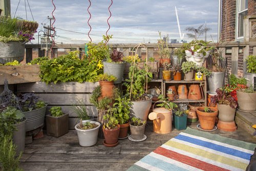 70 Nicest Rooftop Garden Ideas | Best Rooftop Gardens 27