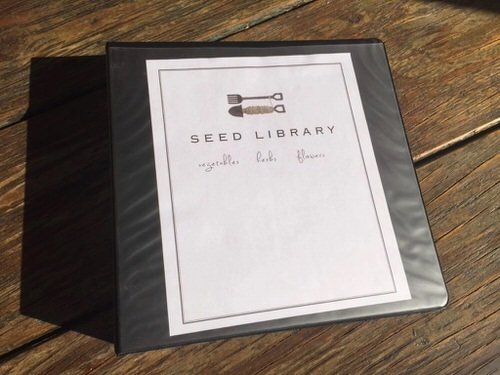 DIY Seed Storage Ideas 20
