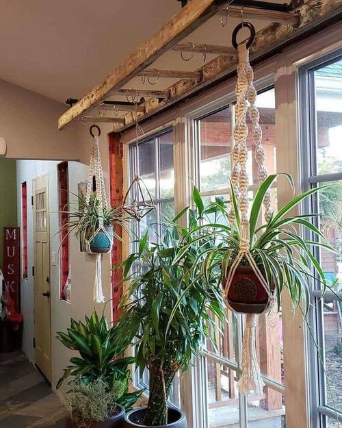 Indoor Stepladder Garden Ideas 2