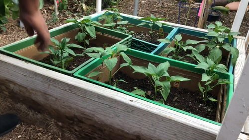 16 DIY Portable Garden Bed Ideas 7