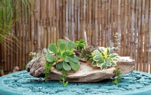 DIY Succulents Centerpiece and Arrangement Ideas 8