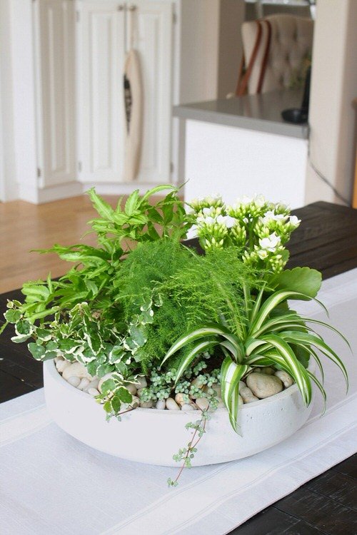 36 Incredible Houseplant Centerpiece Ideas Every Plant Grower Should See 18