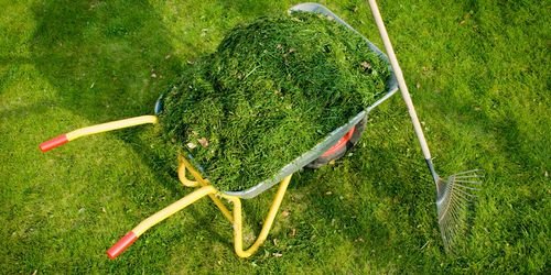 What to Do With Grass Clippings 8
