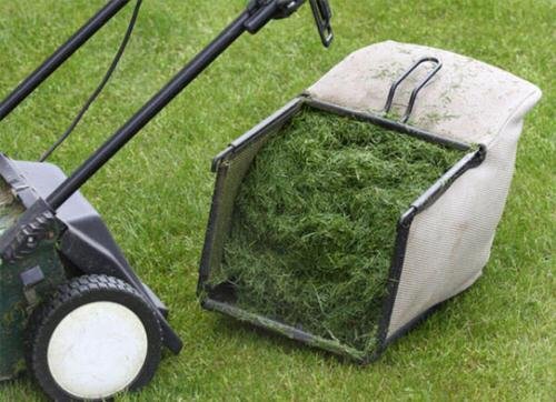 What to Do With Grass Clippings 10