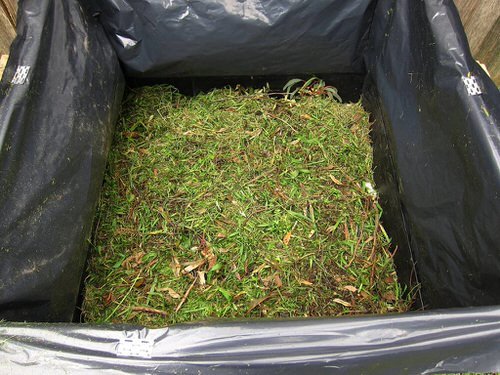 What to Do With Grass Clippings 16