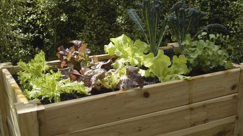 16 DIY Portable Garden Bed Ideas 5