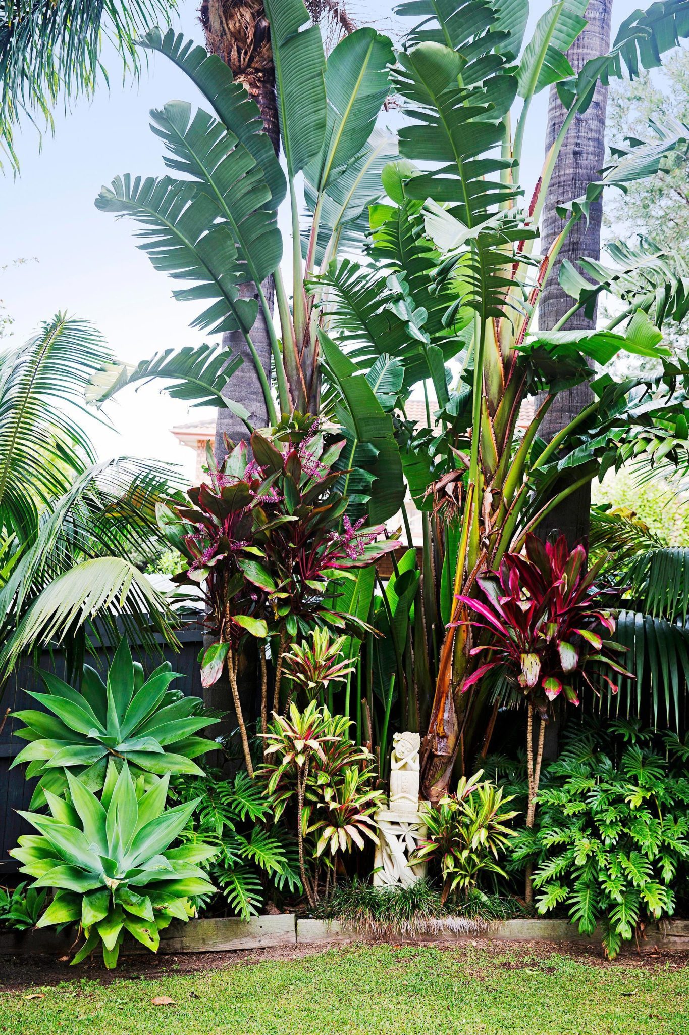31 Fabulous Landscaping With Cordyline Ideas Balcony Garden Web 31-fabulous-landscaping-with-cordyline-ideas-balcony-garden-web