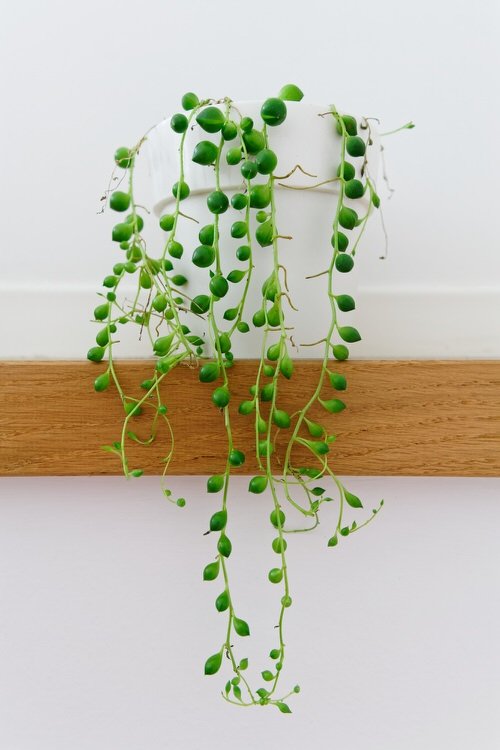 Types of String of Pearls