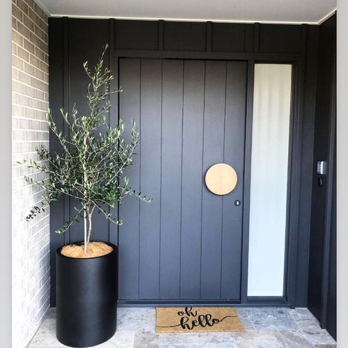  Beautiful Front Door Container Ideas 13
