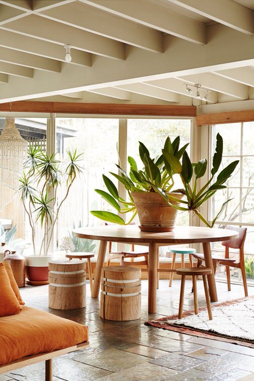 36 Incredible Houseplant Centerpiece Ideas Every Plant Grower Should See 9