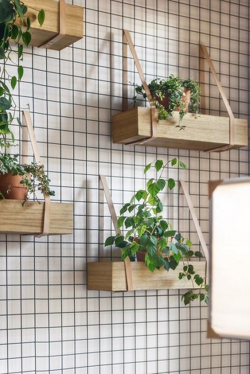 Fantastic Ways to Hang Plants on the Wall like Pros 5