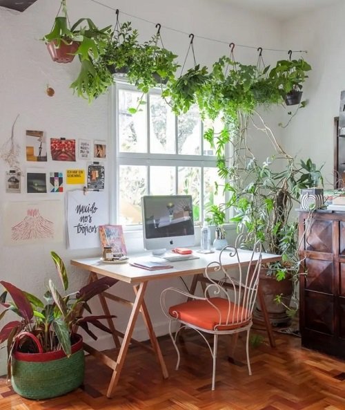 Fantastic Ways to Hang Plants on the Wall like Pros 6