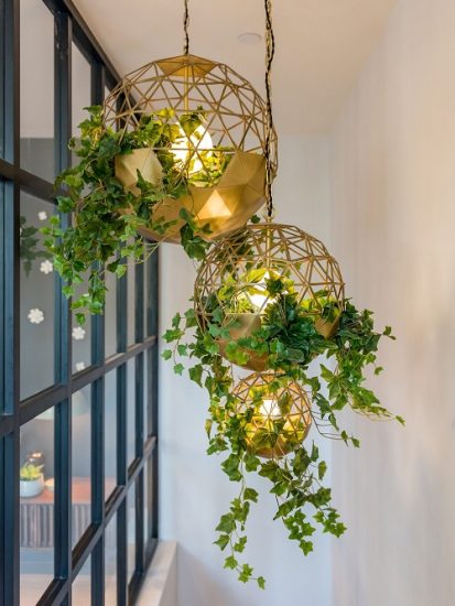 26 Fantastic Ways to Hang Plants on the Wall Like Pros